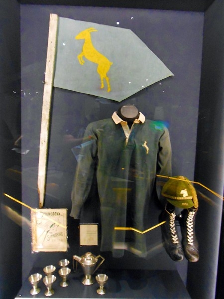 springbok_expericence02