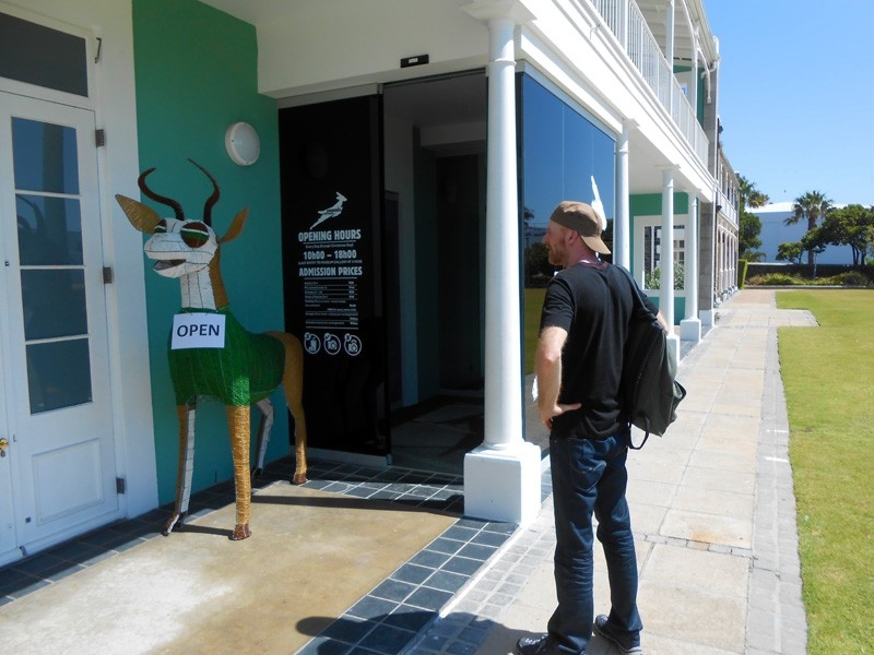 springbok_expericence04
